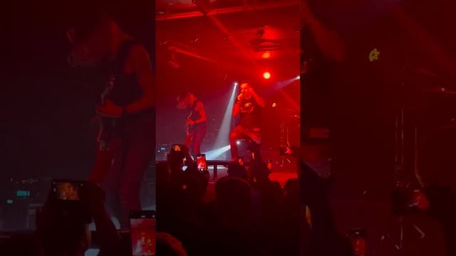 Калининград йорш клуб Ялта