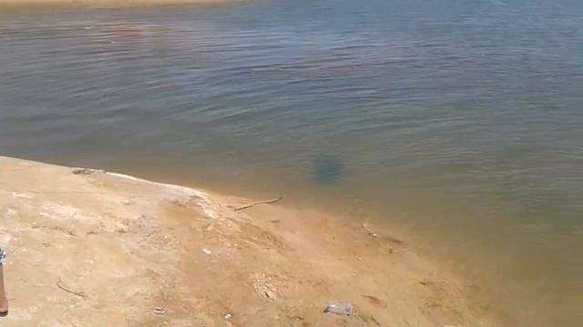 Fec04d4c70f17c0bd8bc36d91258720d