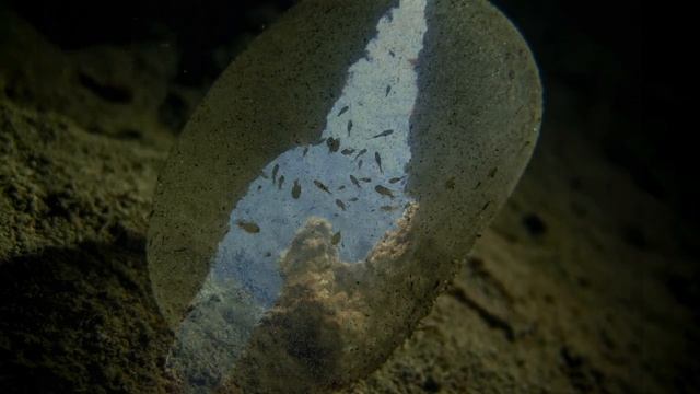 DIVING IN MALTA & GOZO 2020 #divesitesmalta #scubadivingmalta #youtubevideos #waterworlddivingmalta