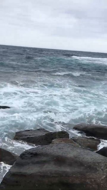 Мыс Тобизина 13.06.2022 #2