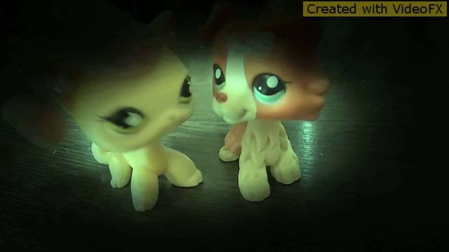 Клип/лпс)/*ты готов услышать нет*)/досмотрите до конца\