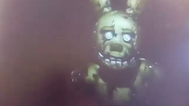 история спрингтрапа