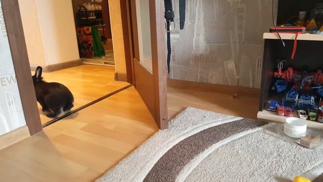 3a9b83c5d473821f5cd56068b3dfe618