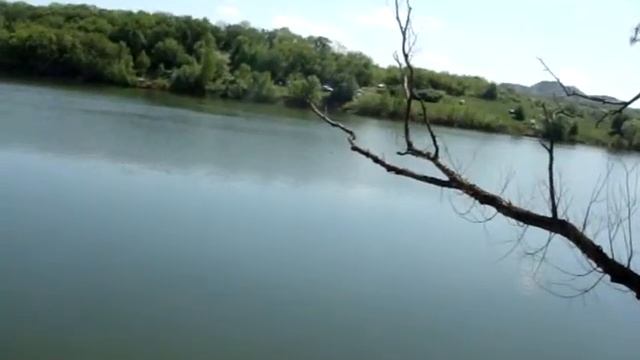 E8466f1da19c05043d5c4ca3de7357d7