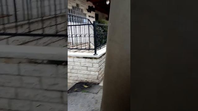 Хайфа город кайфа