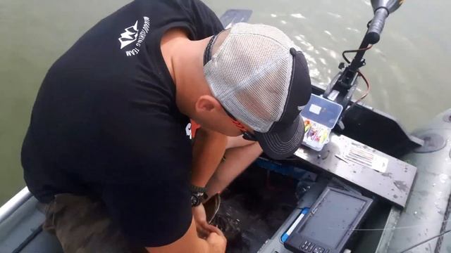 Przyłów Szczupaka Podczas Połowu Okoni ZNOWU SAIRA!