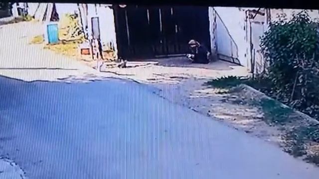 Сайрам Сүт(2)