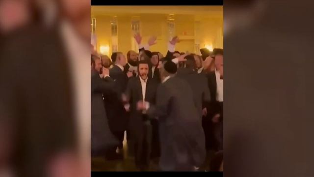 тик ток стал котом