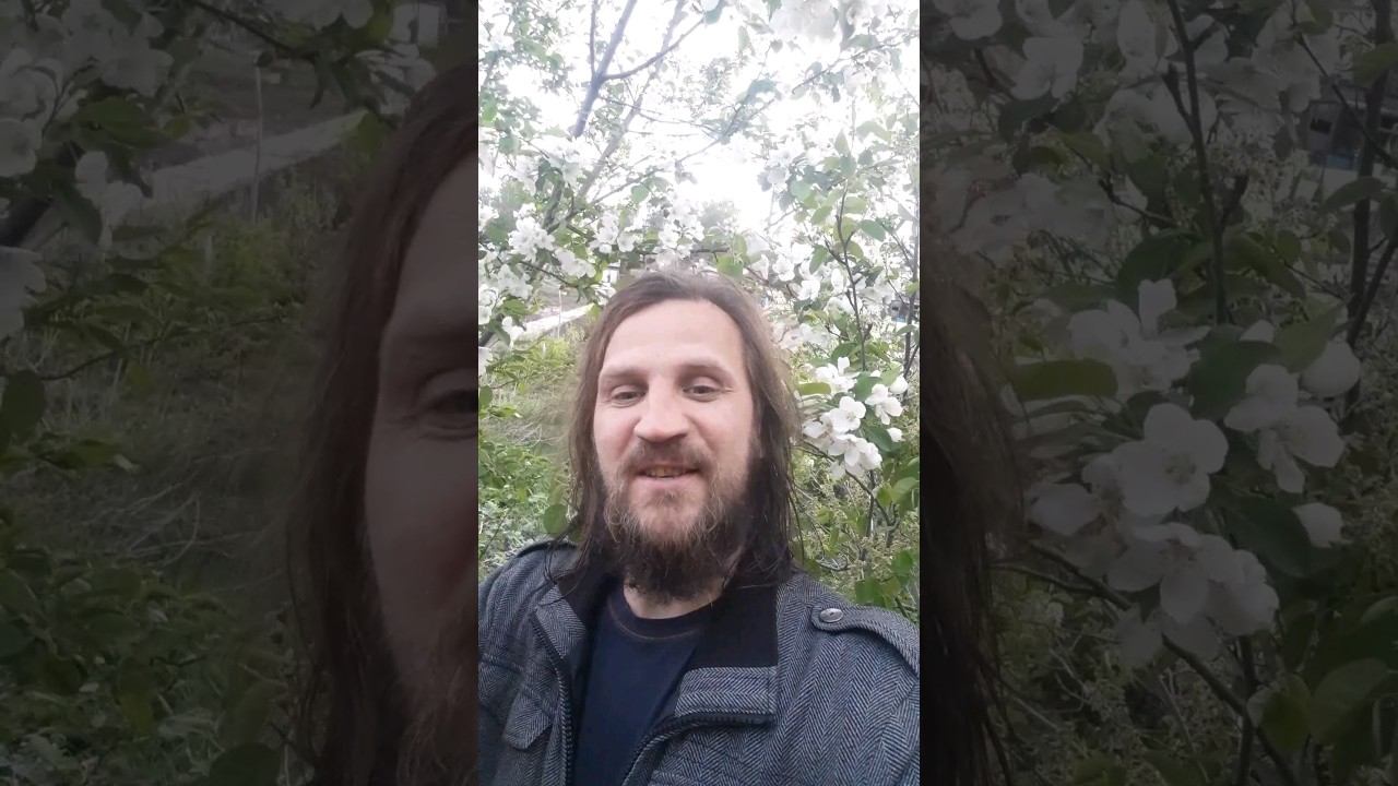 Живая молитва о фестивале #здесь_и_сейчас #фестиваль #фестиваль_живой_одежды #сознание_Христа