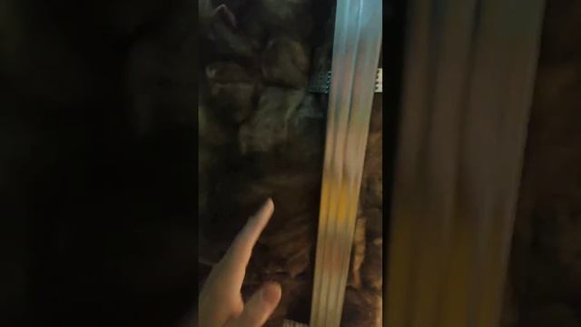 Изменения в проекте...Не надо так! #дизайнинтерьера #рекомендации #рек #отделка #ремонтквартир #гкл