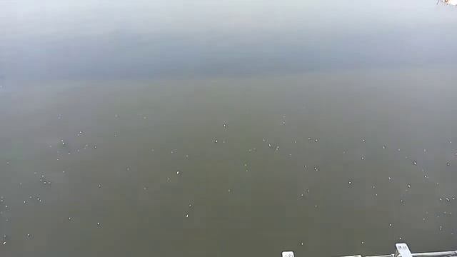 Павшина пойма. октябрь 2020