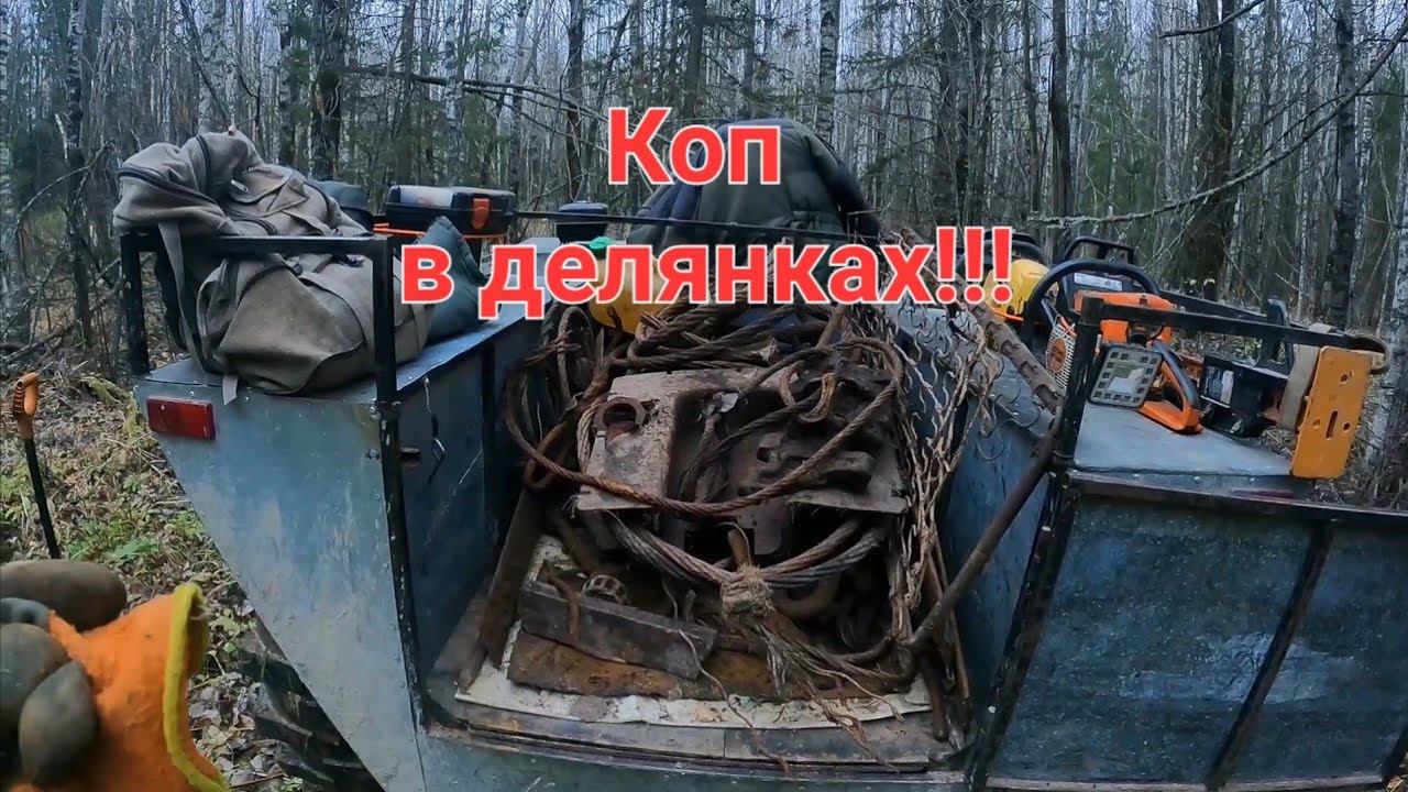 В делянки на поиски металлолома. Осенний металлокоп на каракате.