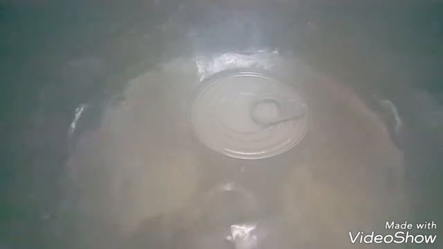 IRISKA Uy Sharoitida Qilish