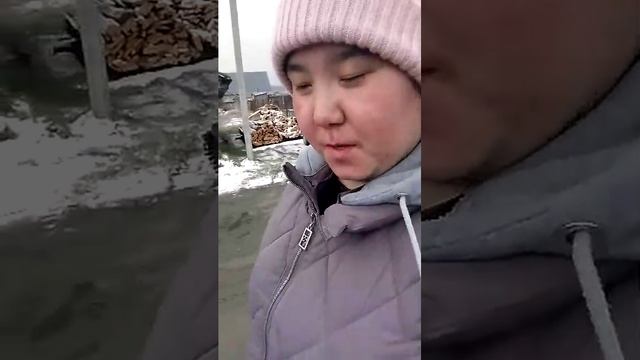 Bb033d45153b45f08954ab1289d24e20