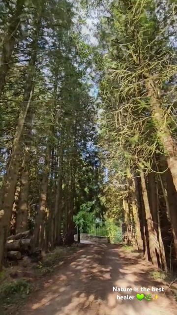 Nature💚 #nature #youtubevideo #naturelovers #youtubeshort #youtube