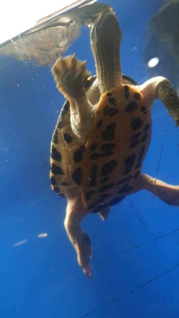 202c14696f932c237b4f941489cdfe89