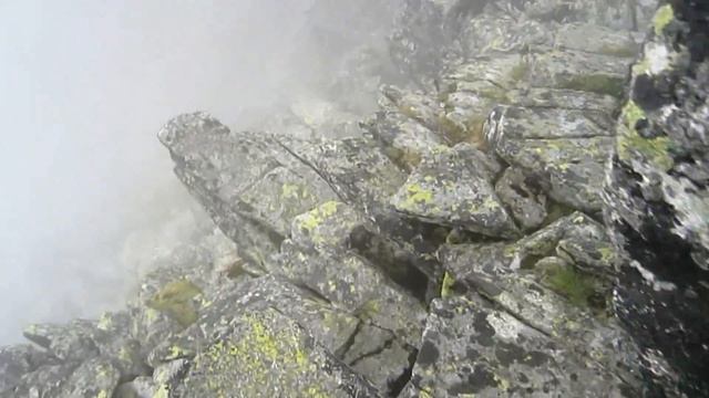 Gerlach 2012 Тюлень Бодя Наталка і Калачик