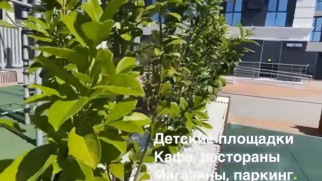 ЖК Меркато Сочи