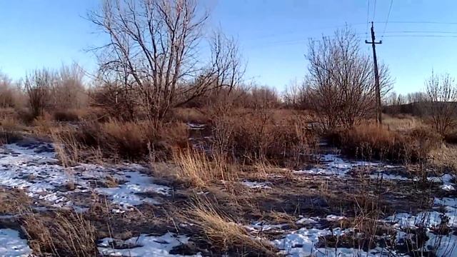 охота на зайца сезон 2020-2021.