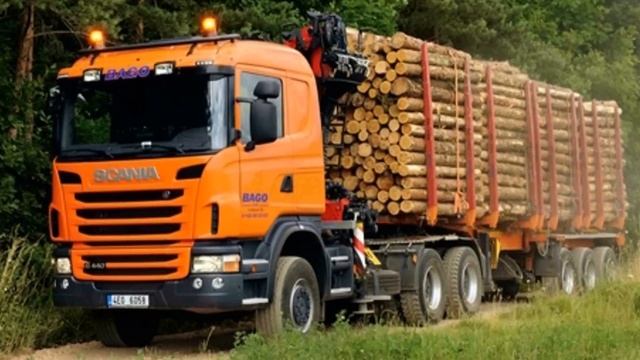 Изучаем транспорт  Обучающее видео для мальчиков