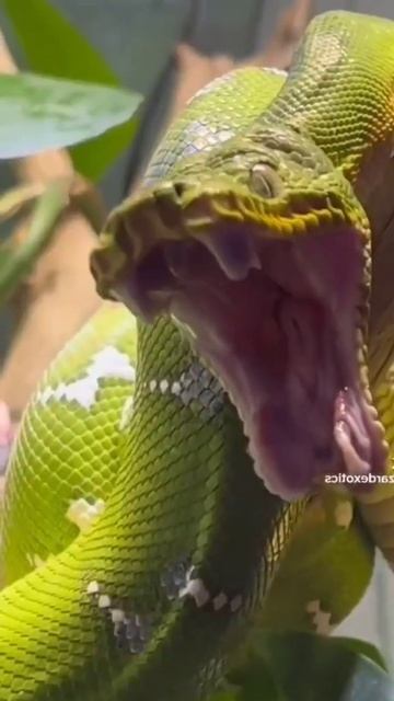 Когда проснулся раньше любимой...