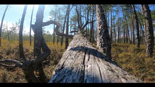 7fa7f0a71a9c318ccbfac8cc2676a7db