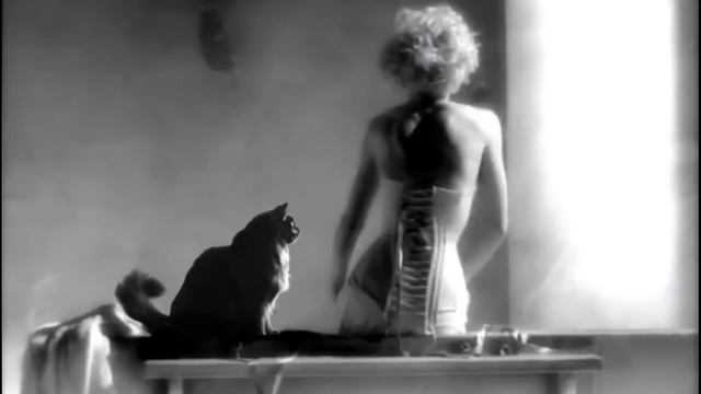 OwlKitty In Vogue (Madonna)