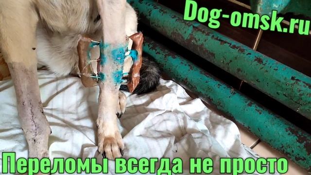 Новости от ЭТНЫ