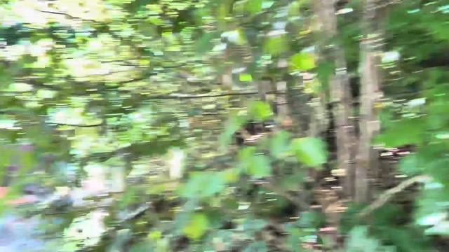 Leutasch Gorge / Ущелье Лойташ в Австрии