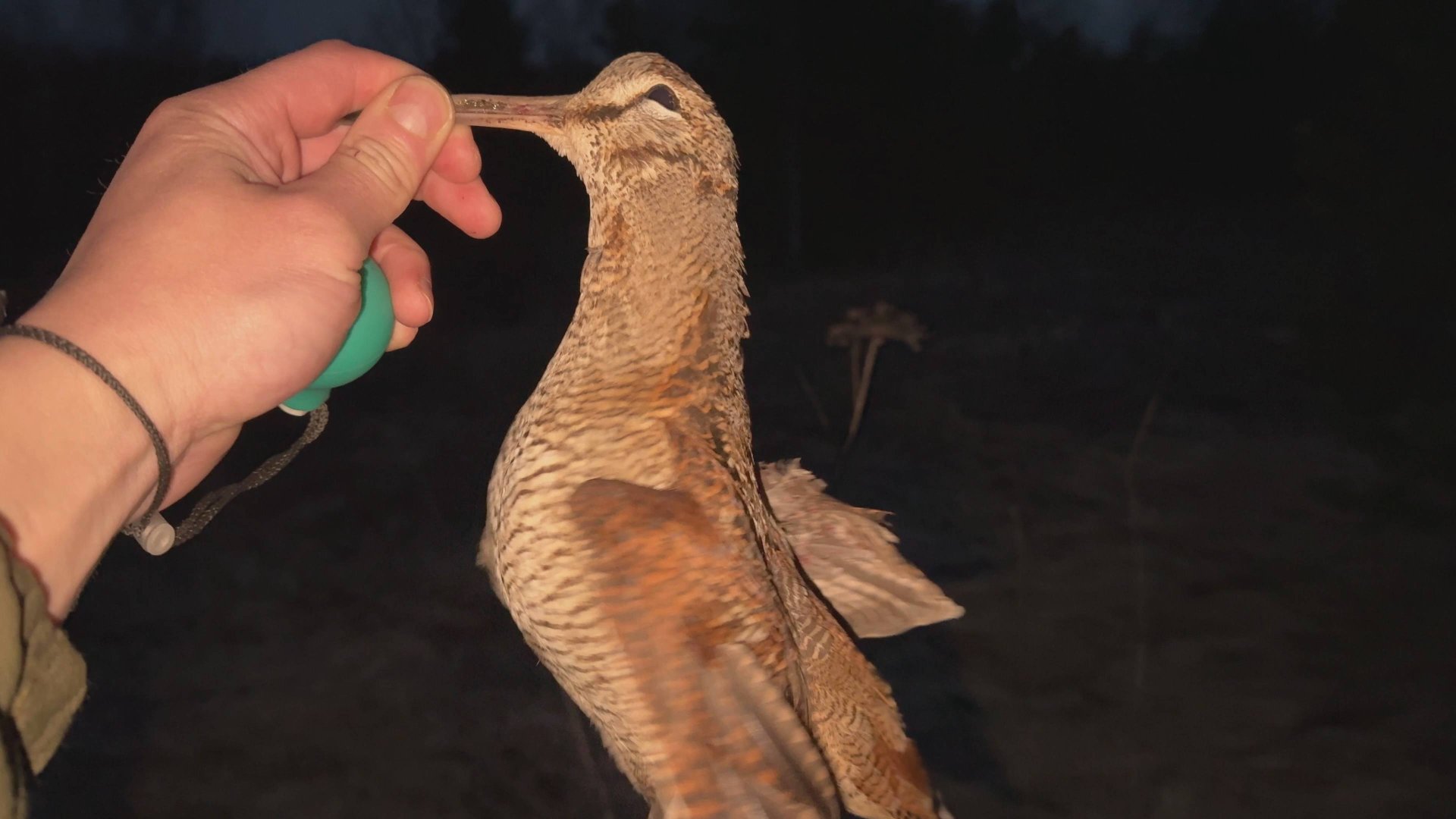 Ca83d54b59207e85551f2118216550a5