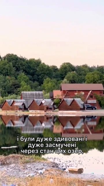 Закарпаття. Це жах! Такого не має бути! 😣 #закарпатскаяобласть #закарпаття #закарпатье #україна