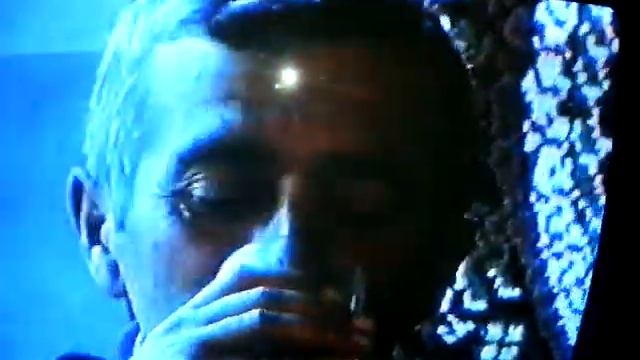 Тамада Видади Борчалы