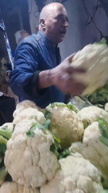 Daily Vegetables Rates