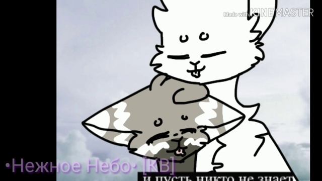 Ищу пару кота :3 Надеюсь, что найду... 😊