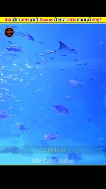 What If Our Oceans Became Freshwater?#shorts