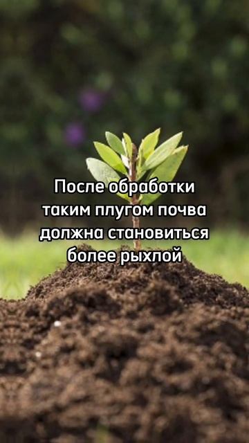 Челябинские ученые создали новый плуг🇷🇺 #челябинск #регион74 #россия #суровыйчелябинск #урал