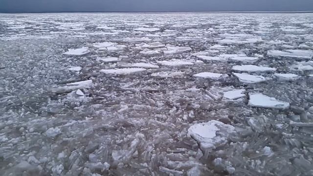 Онежский айс шейк!