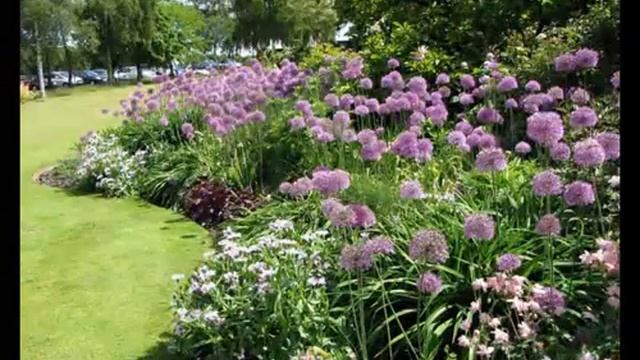 зеленый цветник