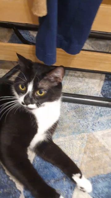 2809ae6d27ab1c528264953658f40b42