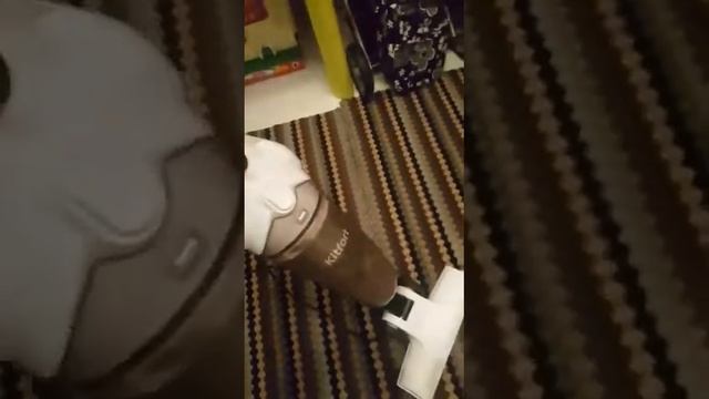 15 ноября 2020 г.