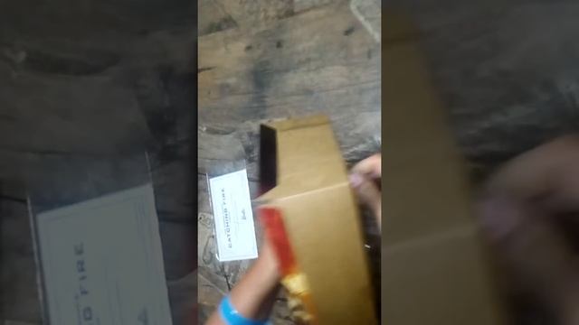 Barbie Collector The Hunger Games Catching Fire Finnick Odair Doll