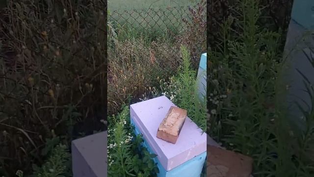 отводки 2023.зделоные на 1 раму