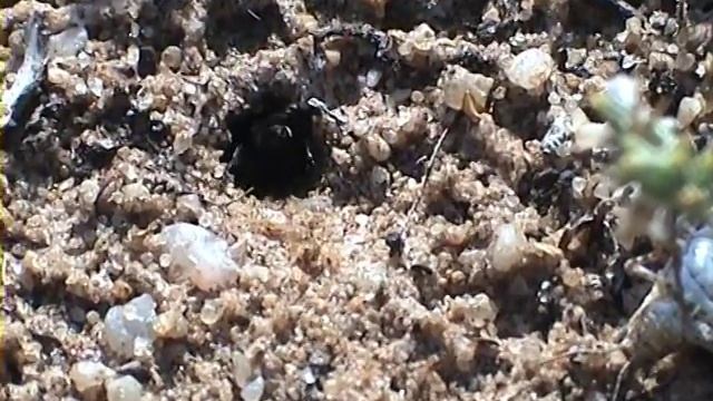 94773f452cf2c48ab707a96f34fce43a