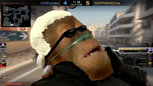 СЛИВА(CSGO)