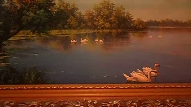 Fd9580b52ccf8667d4a50d0fd9e5c884