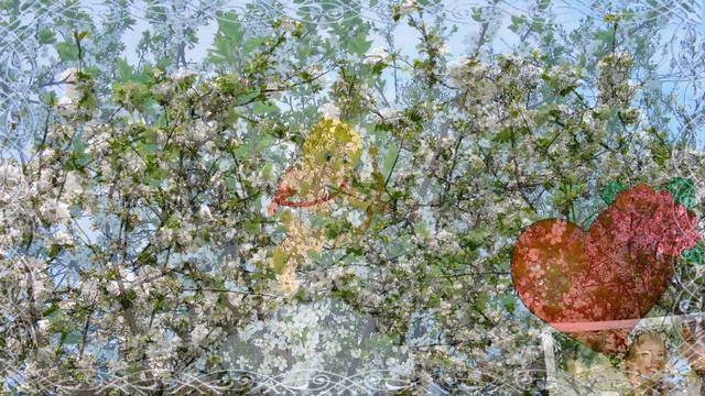 Яка  ж  то  краса,  які відчуття - коли  рядом   люблячі  серця і  цвіте терен...