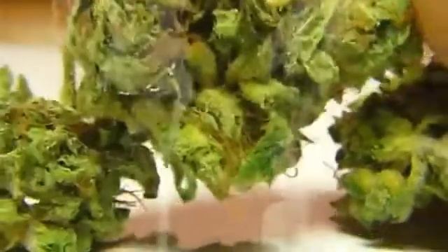 Ганджа рулит.