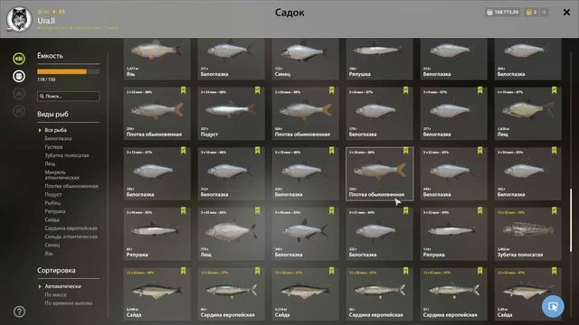 ✮ р. Волхов ✮ Белоглазка ✮ Русская рыбалка 4 ✮