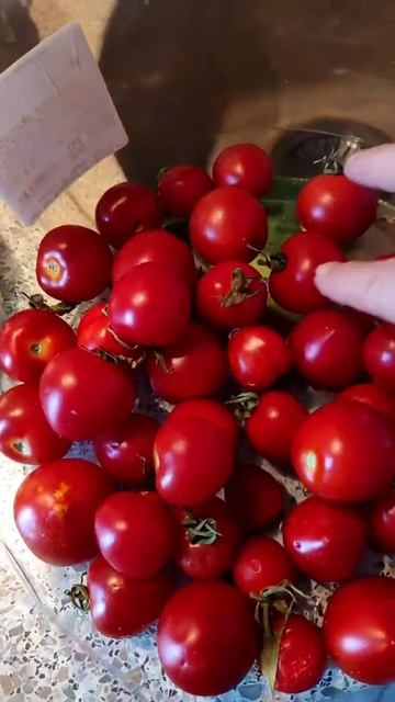 Вот такие промидоры 🍅.Сестрёнка угостила.#shorts