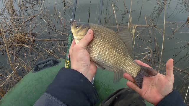 B143937f419a8c4383c000ca65a7fca1